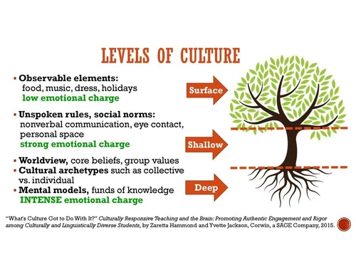 Reference diagram showing observable surface elements, unspoken shallow norms, and deep worldview and beliefs as the levels of culture.